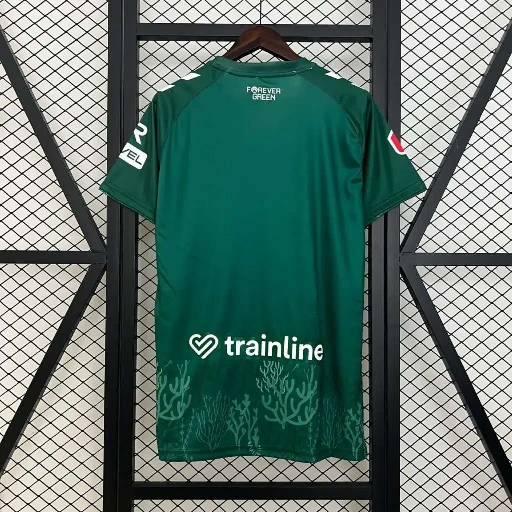 Nueva camiseta Real Betis 2025-2026 verde edición especial - Imagen 2