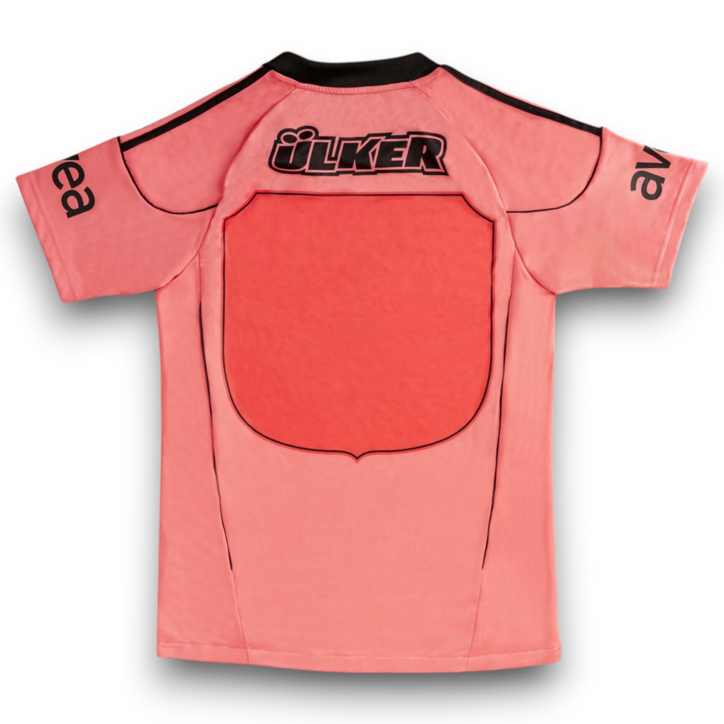 Camiseta Galatasaray 2010-2011 Alternativa - Imagen 2