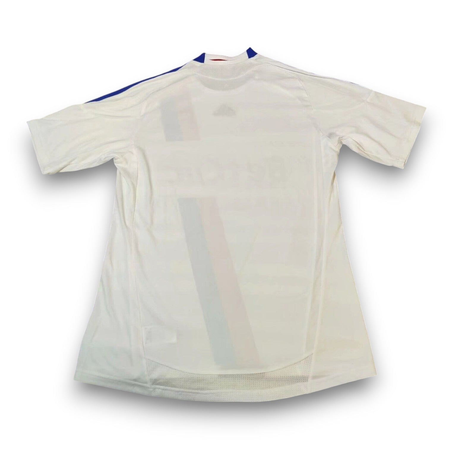 Camiseta Olympique de Lyon 2010-2011 Local - Imagen 2