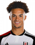 Retrato de Antonee Robinson