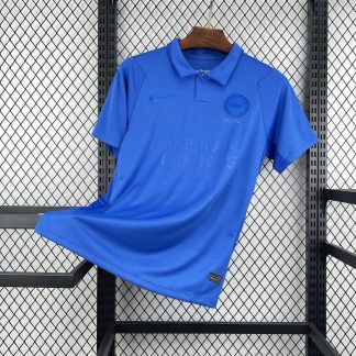 Camiseta Brighton Azul 2026-2027 Edicion Especial Version Fan