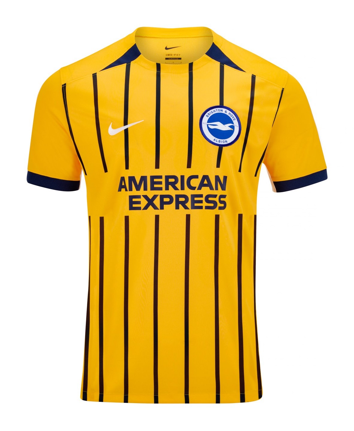 Segunda equipación de Brighton & Hove Albion 24-25