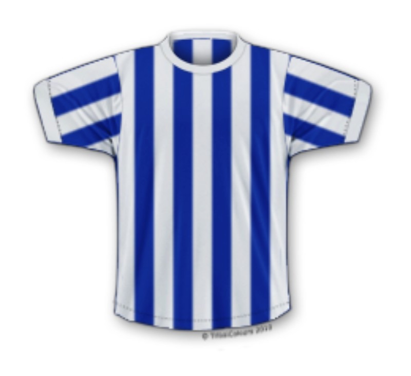Primera equipación de Brighton & Hove Albion 72-73