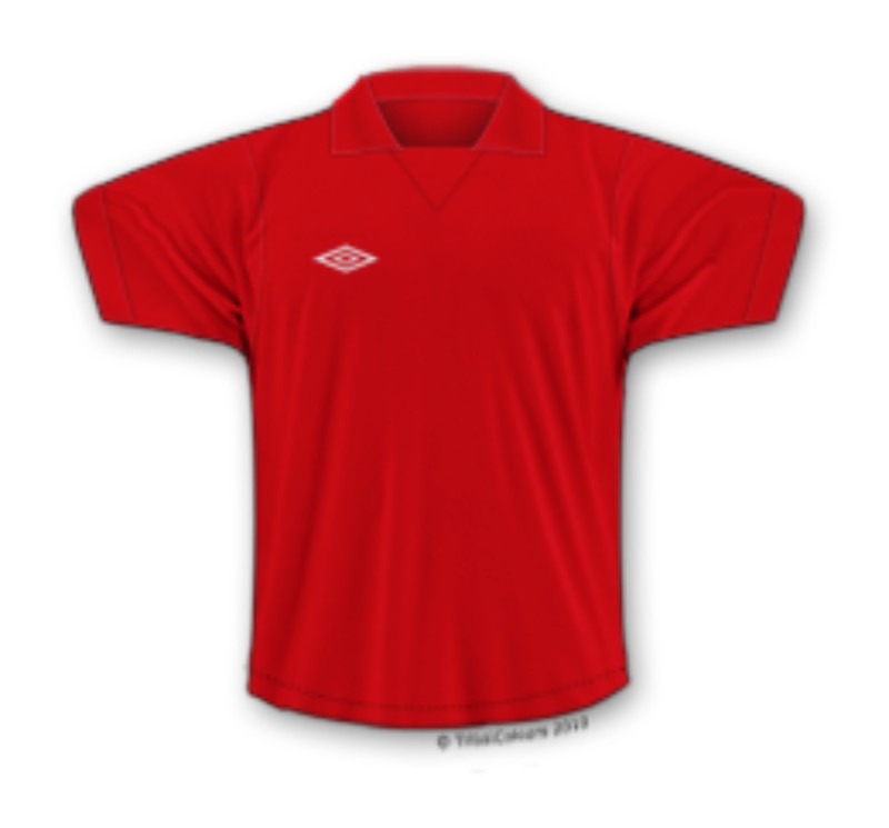 Tercera equipación de Brighton & Hove Albion 76-77 (Carry-over)
