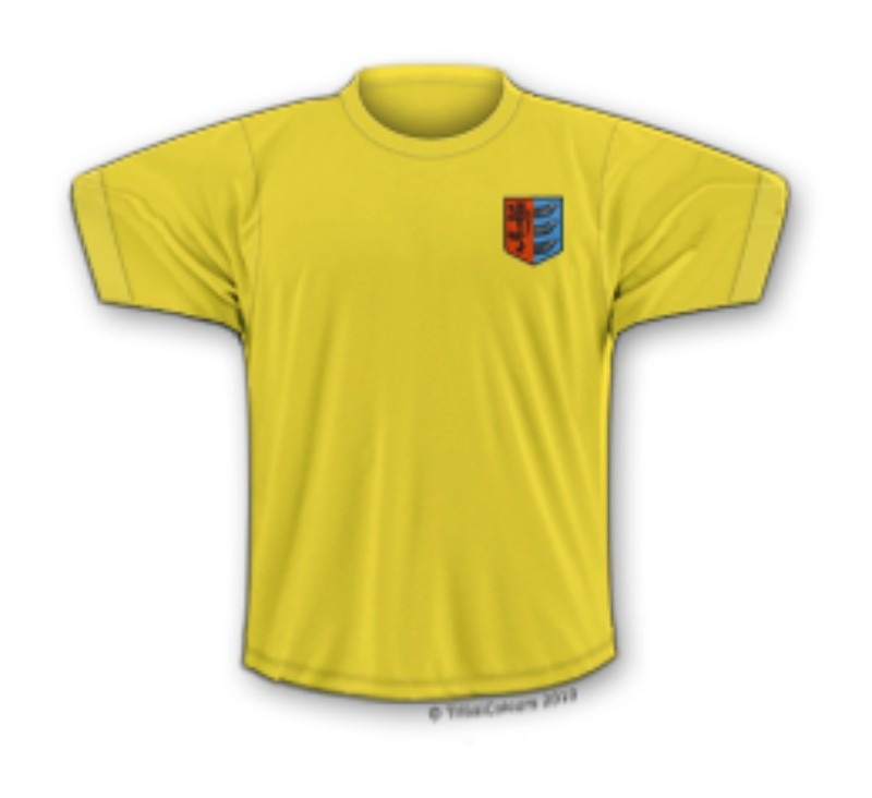 Segunda equipación de Ipswich Town 71-72 (Carry-over)