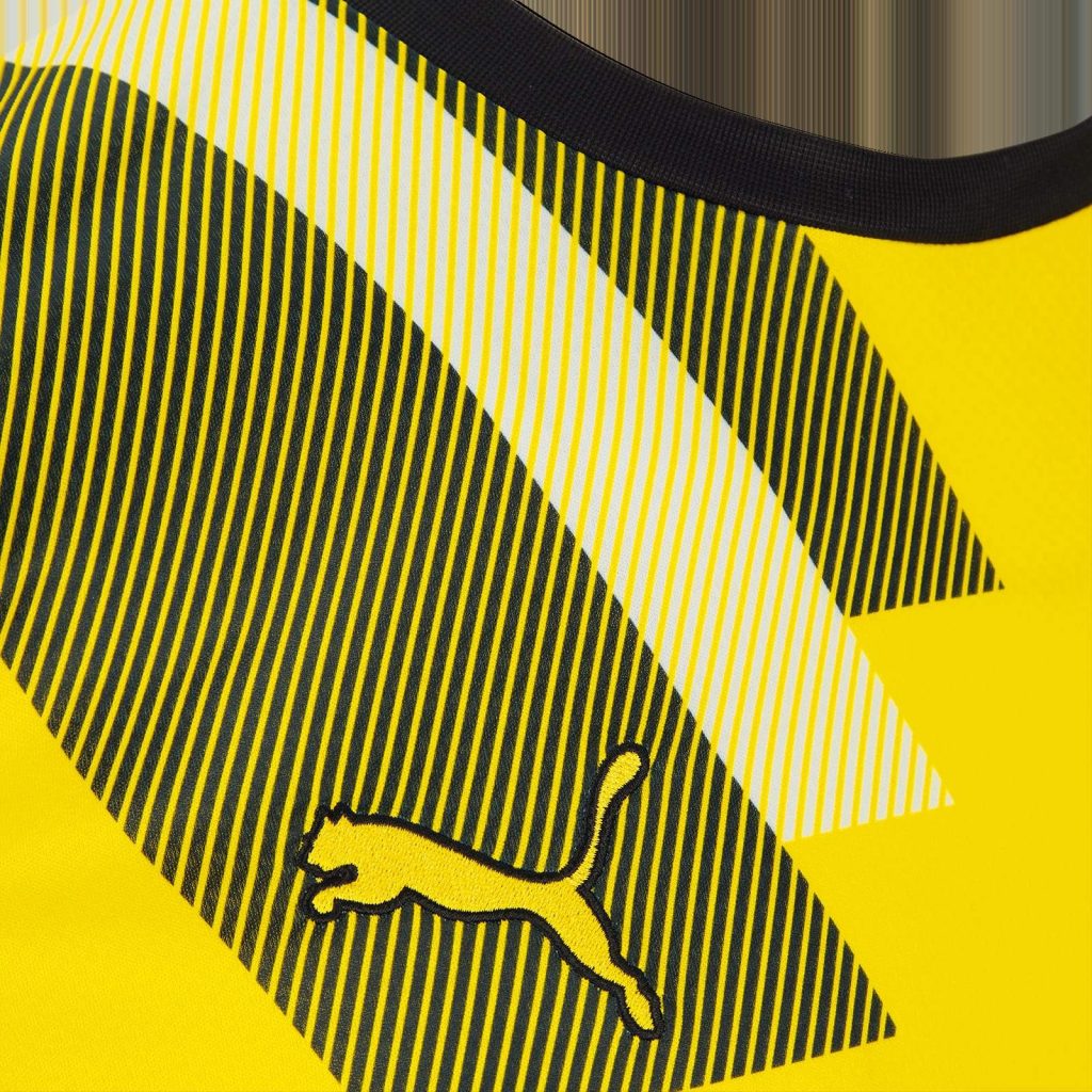 Borussia Dortmund 22-23 Especial 3