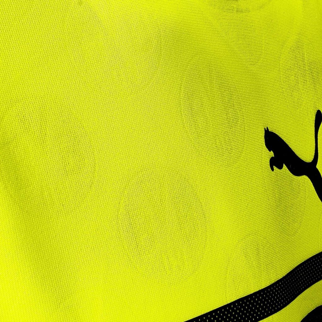 Borussia Dortmund 21-22 Especial 4