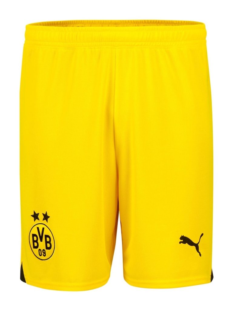 Borussia Dortmund 23-24 Especial 3