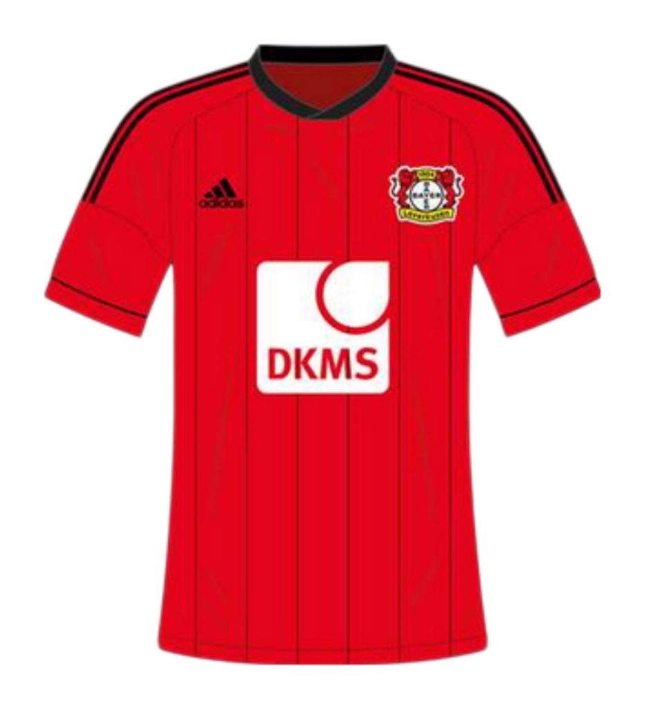 Segunda equipación de Bayer Leverkusen 13-14