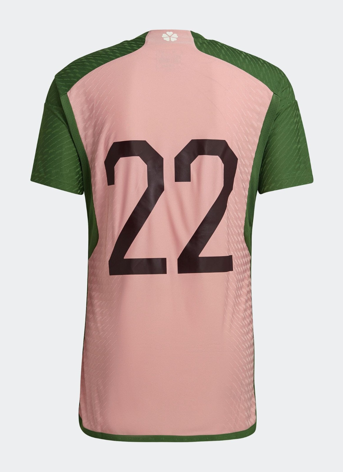 Japón 2022 Especial 2
