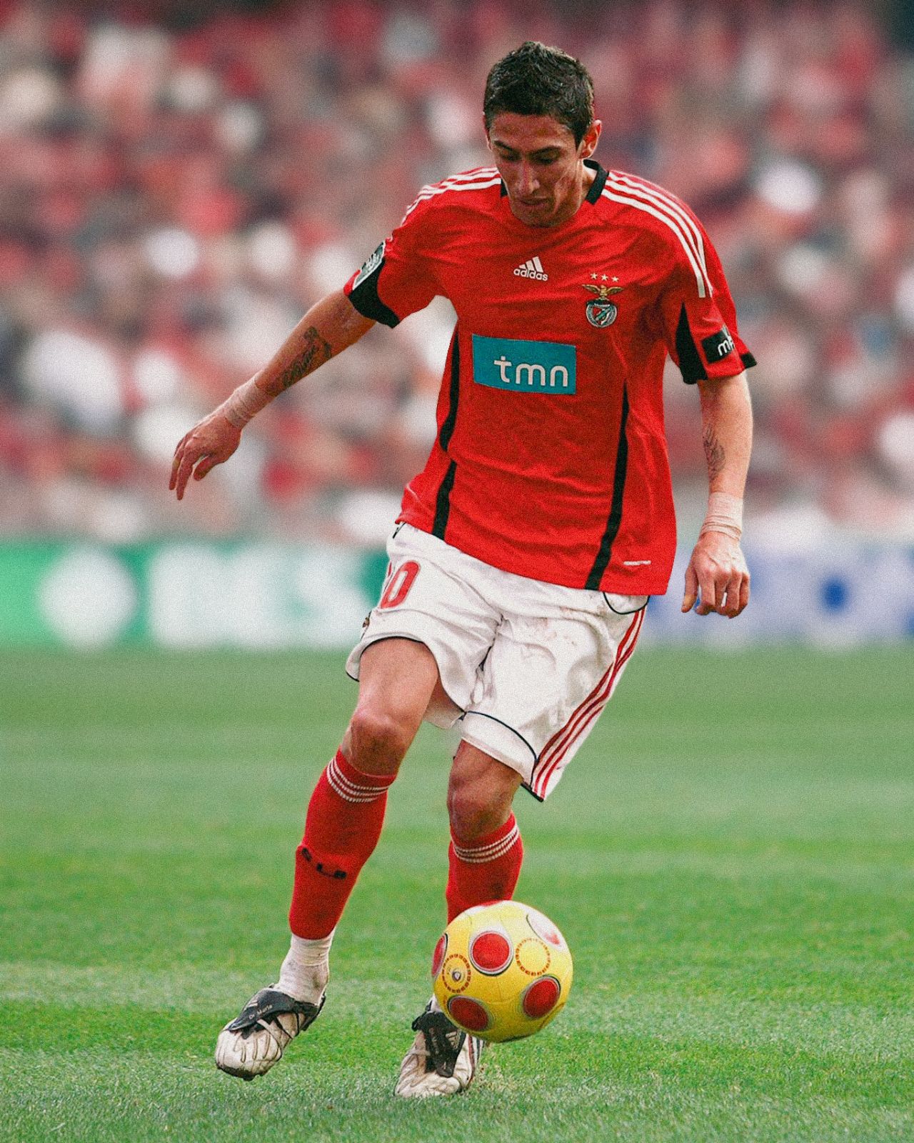 SL Benfica 08-09 Local 3