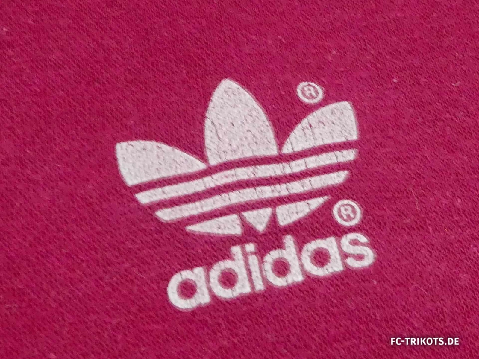 Alemania 1988 Portero 4