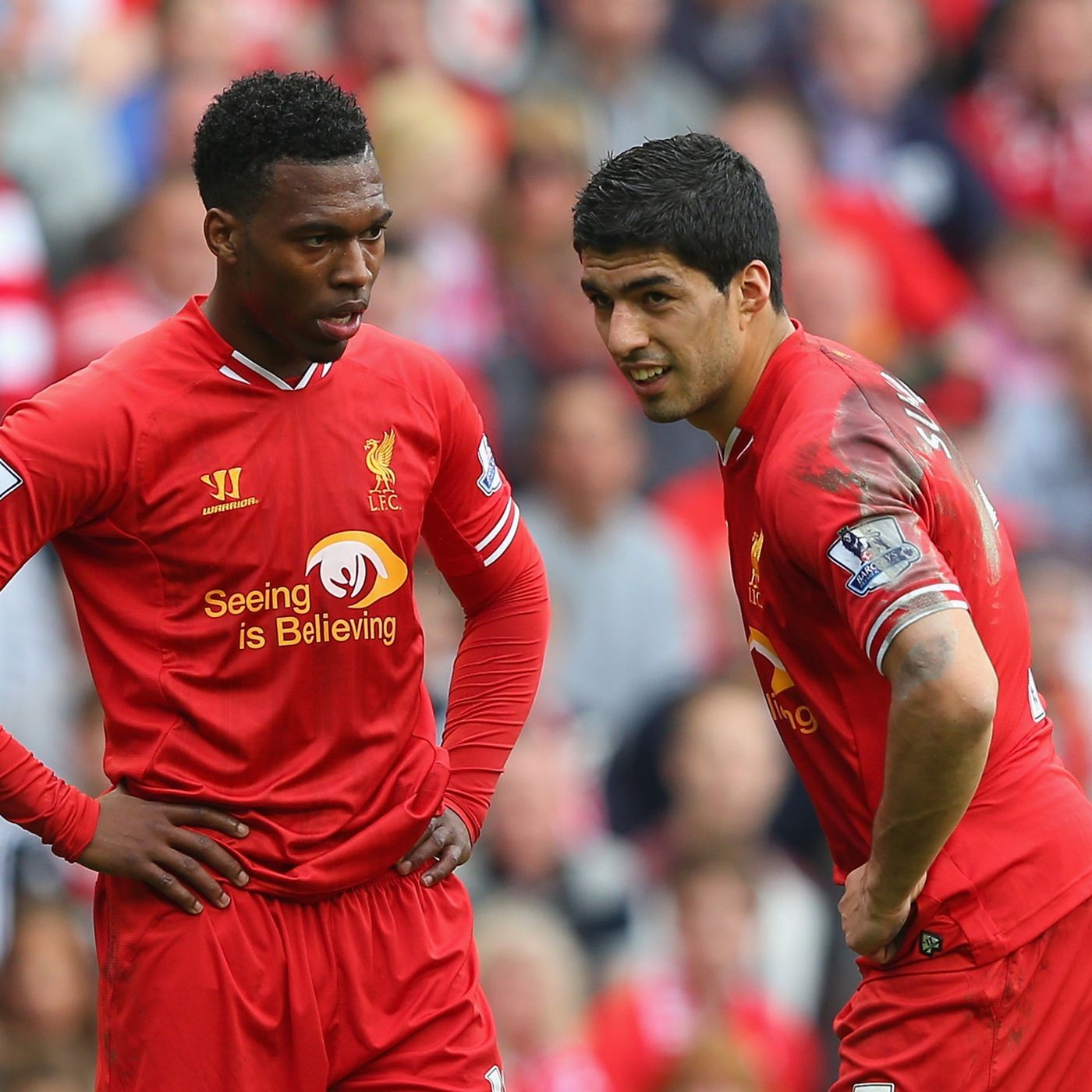 Liverpool FC 13-14 Local 2
