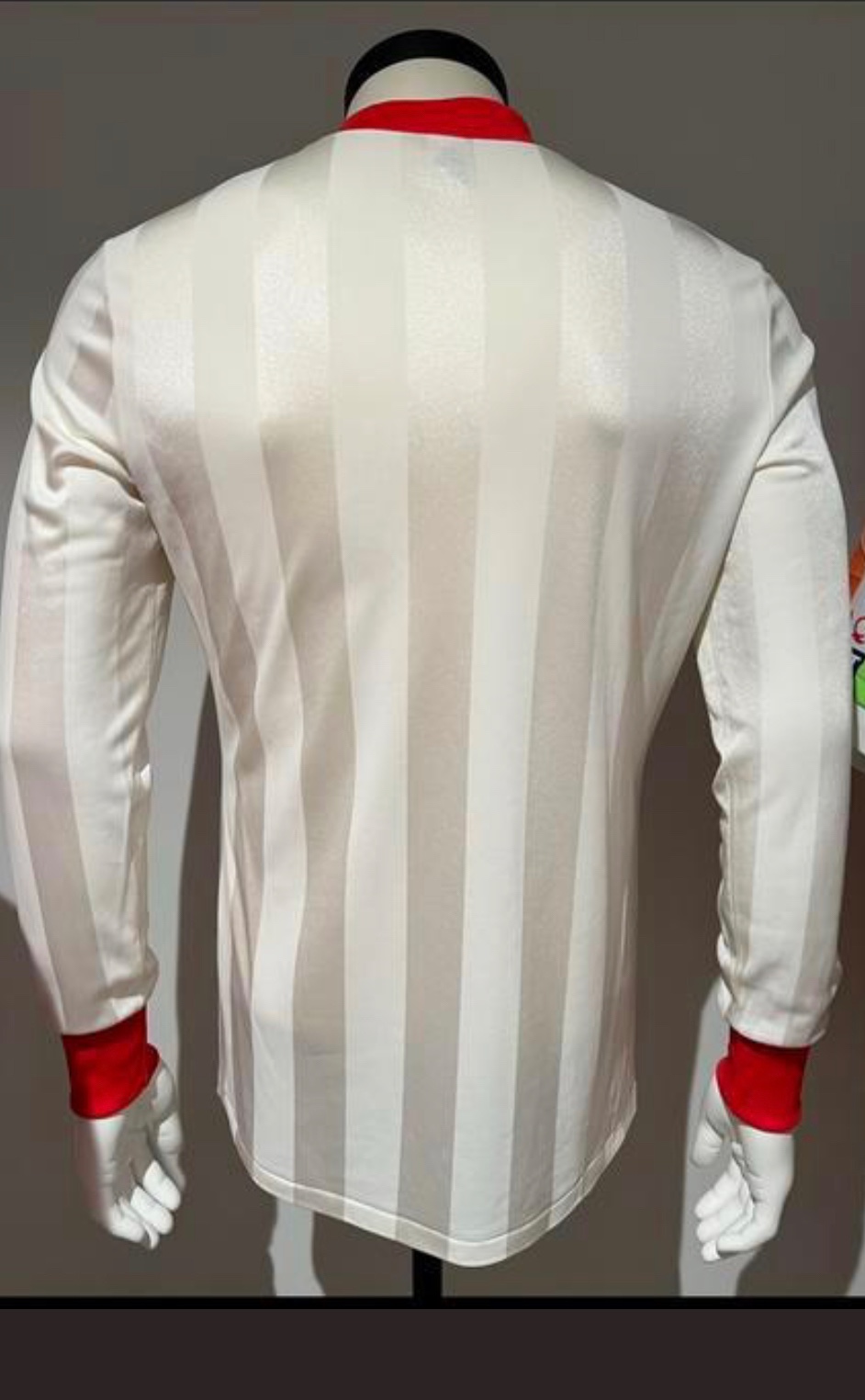 Ajax Amsterdam 83-84 Especial 2