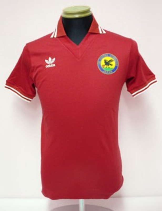 Primera equipación de Japón 1989
