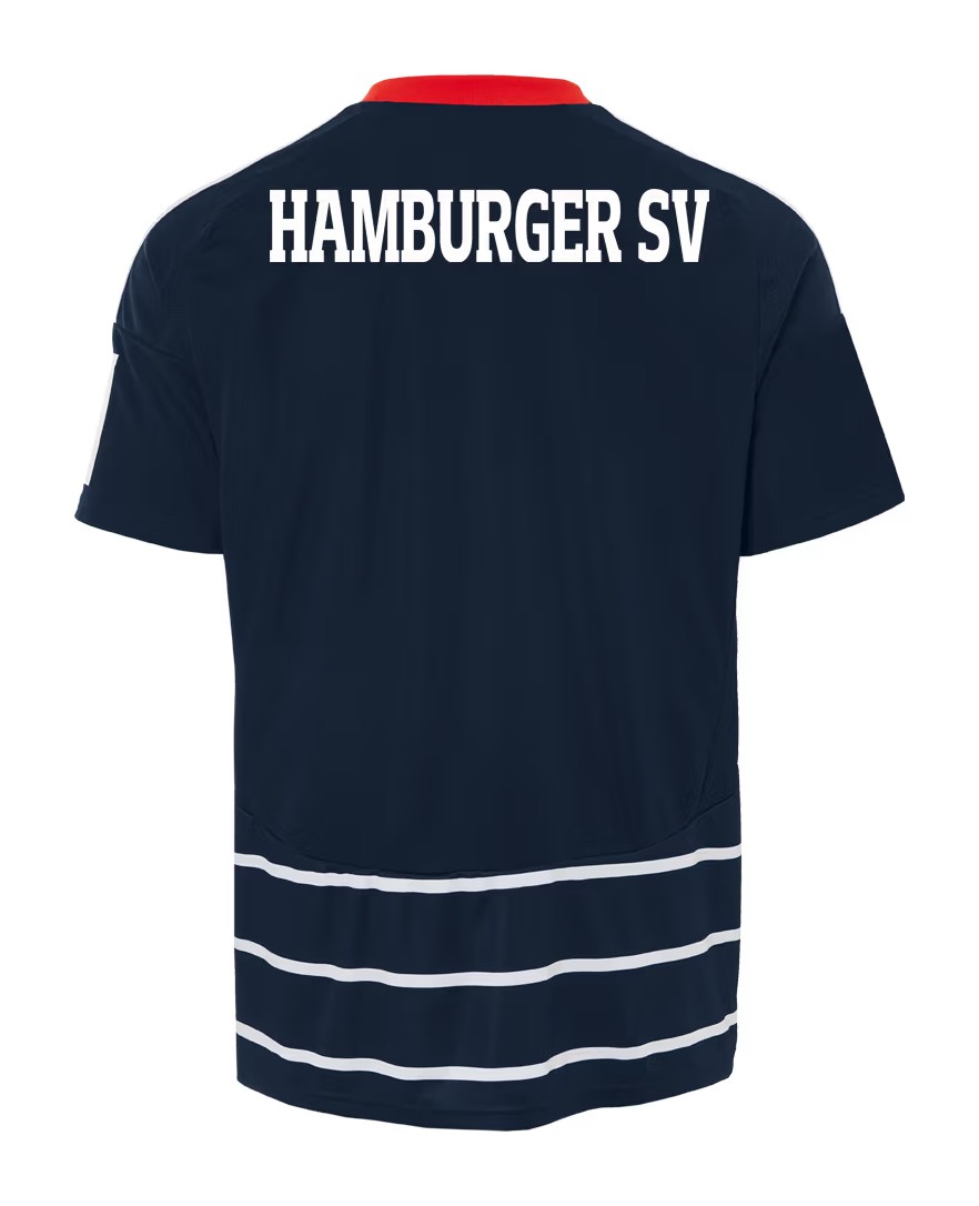 Hamburger SV 24-25 Visitante 3