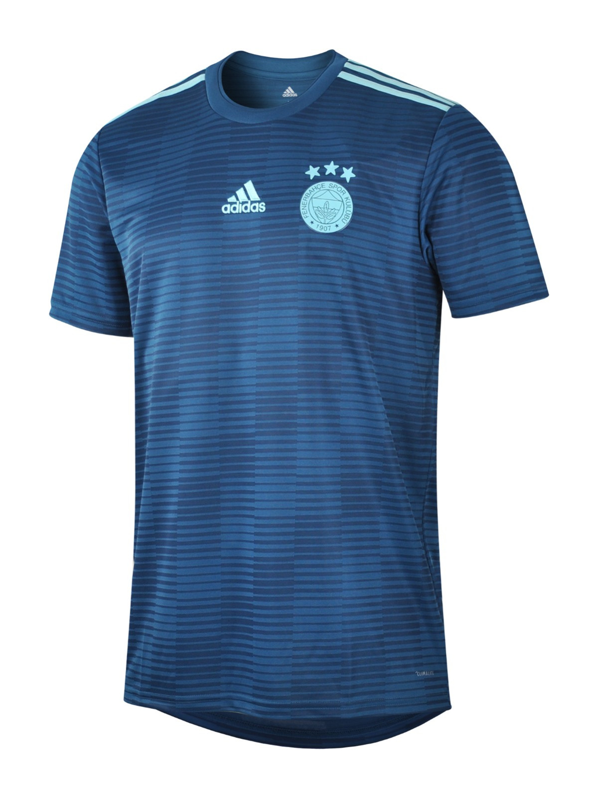 Segunda equipación de Fenerbahçe 18-19