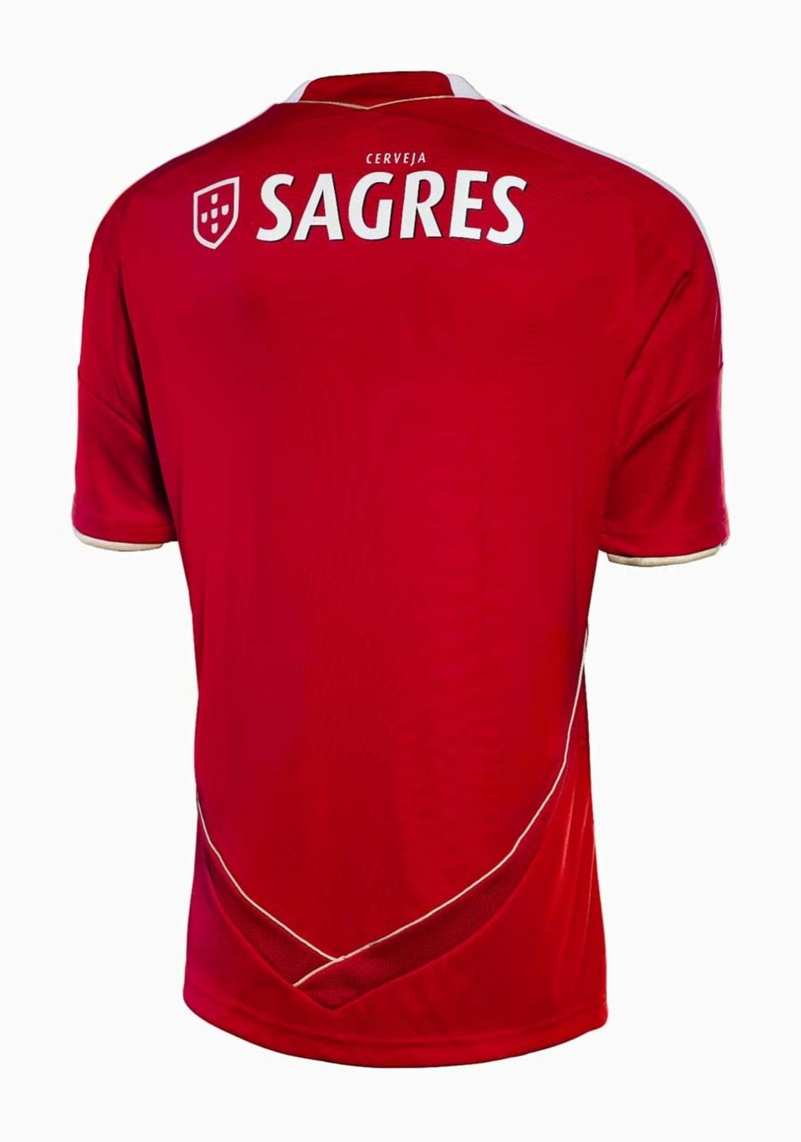 SL Benfica 11-12 Local 2