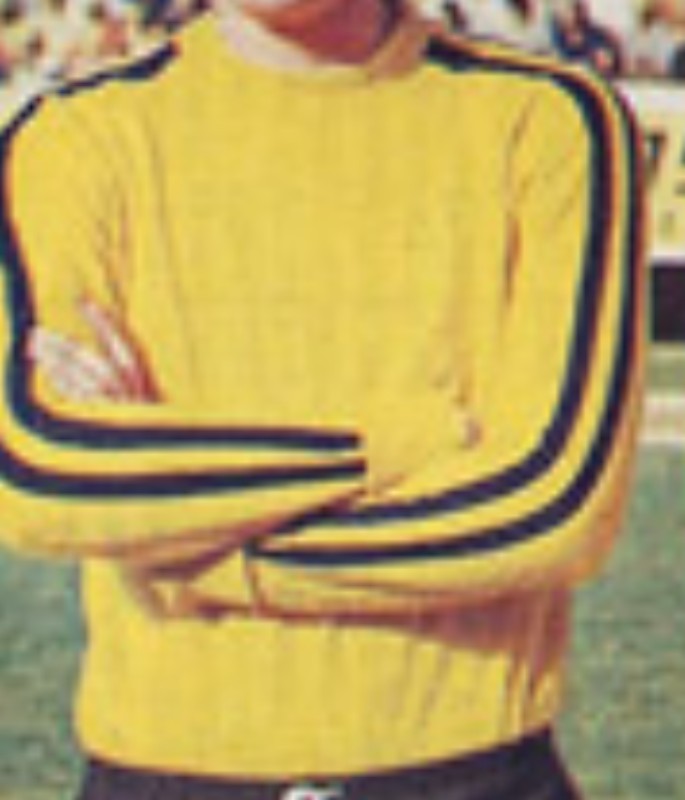 Equipación de portero de Fenerbahçe 75-76