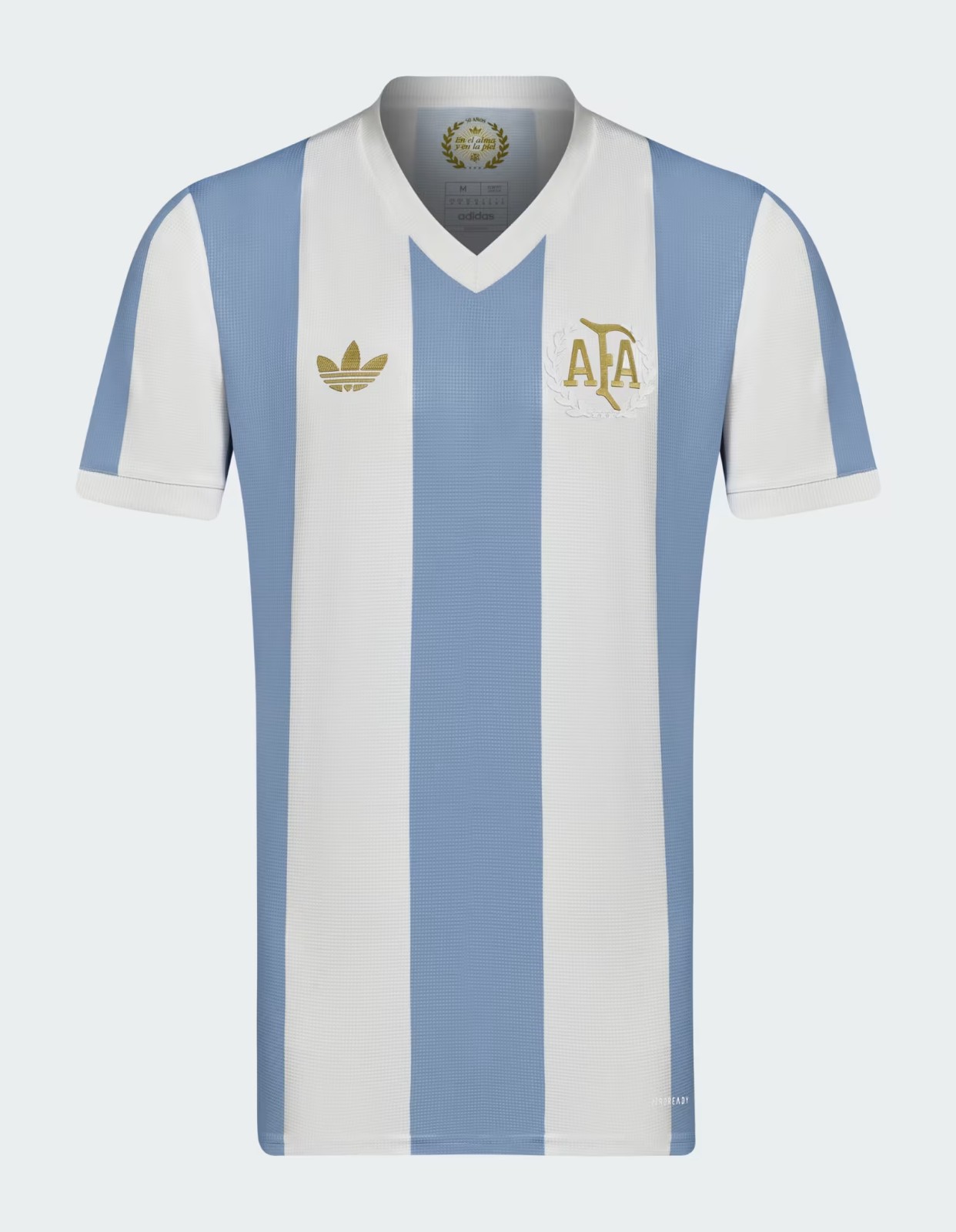 Equipación especial de Argentina 2024