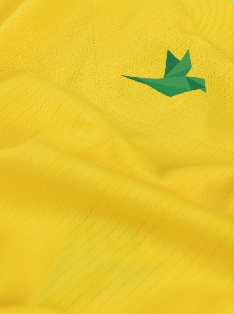 FC Nantes 26-27 Local 4