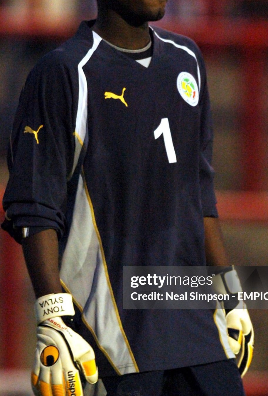 Equipación de portero de Senegal 2005
