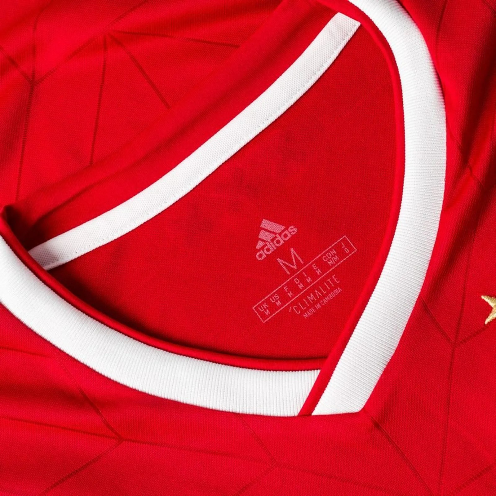 Ajax Amsterdam 18-19 Local 3