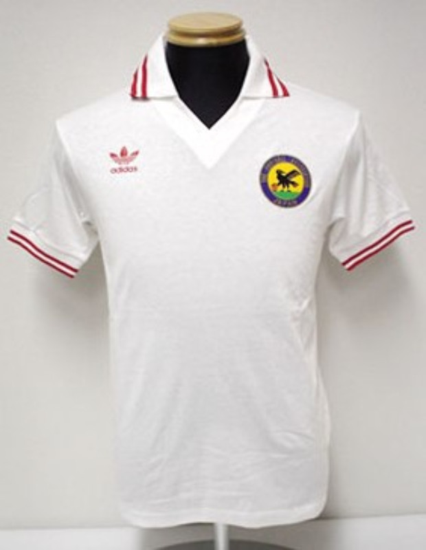 Segunda equipación de Japón 1989