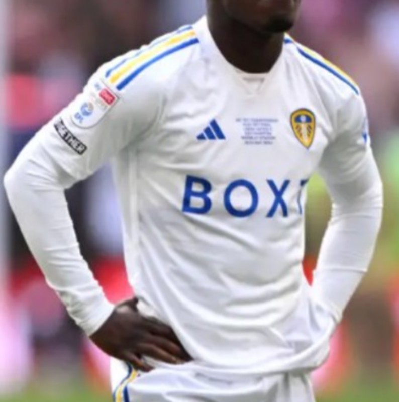 Equipación especial de Leeds 23-24
