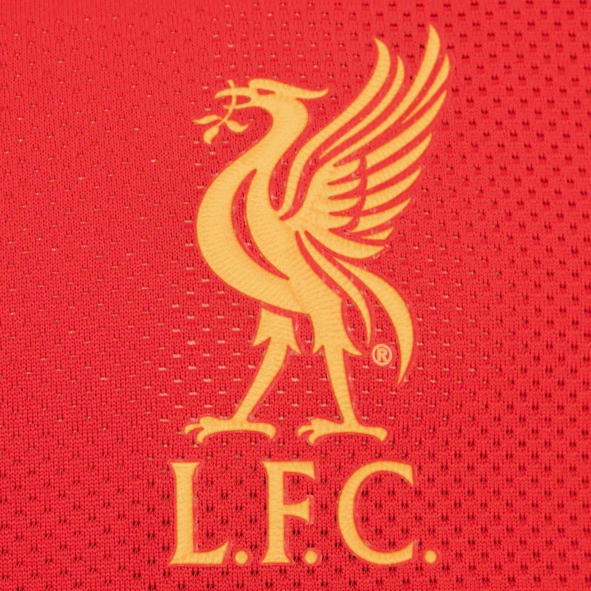 Liverpool FC 16-17 Local 4