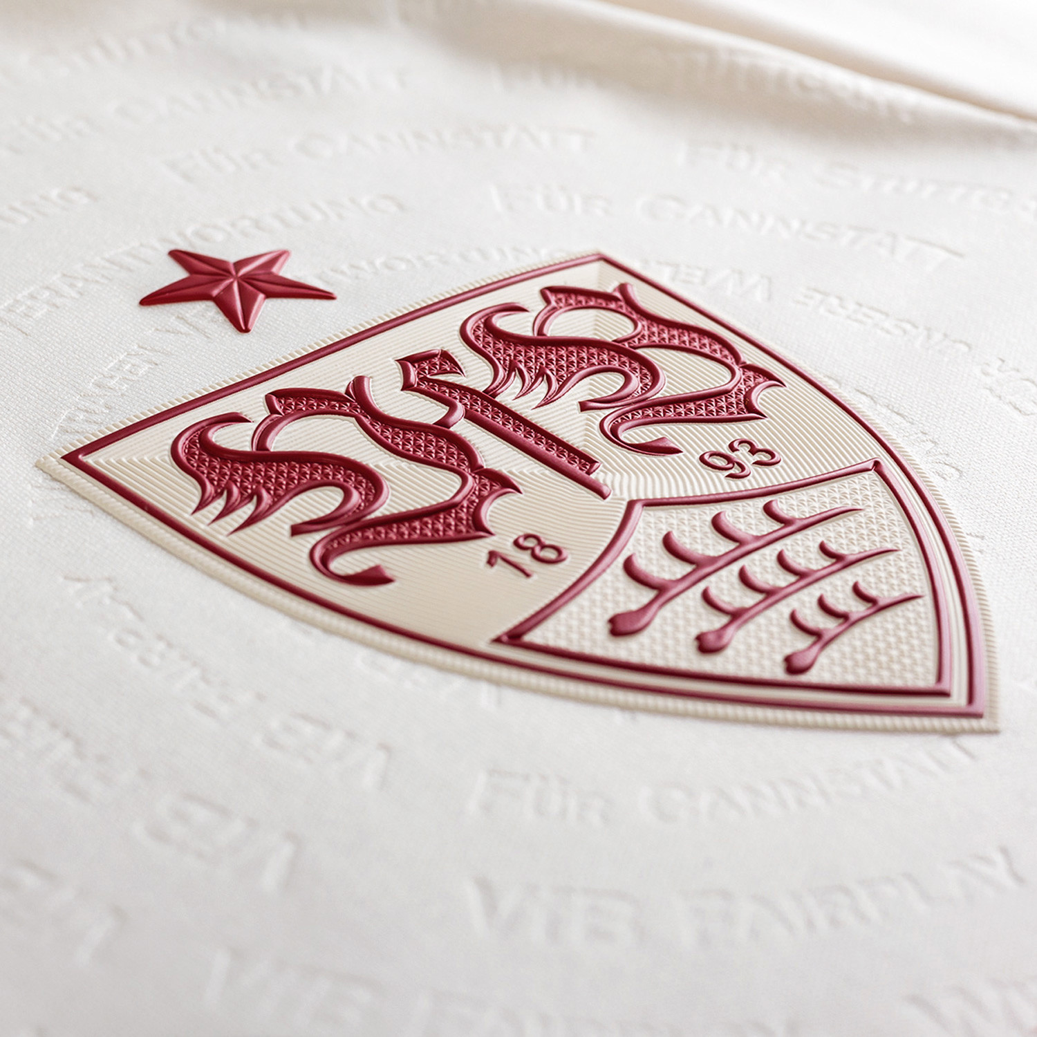 VfB Stuttgart 21-22 Especial 3