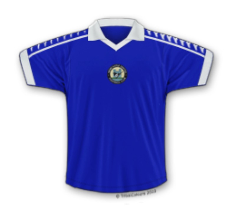 Tercera equipación de Newcastle 78-79