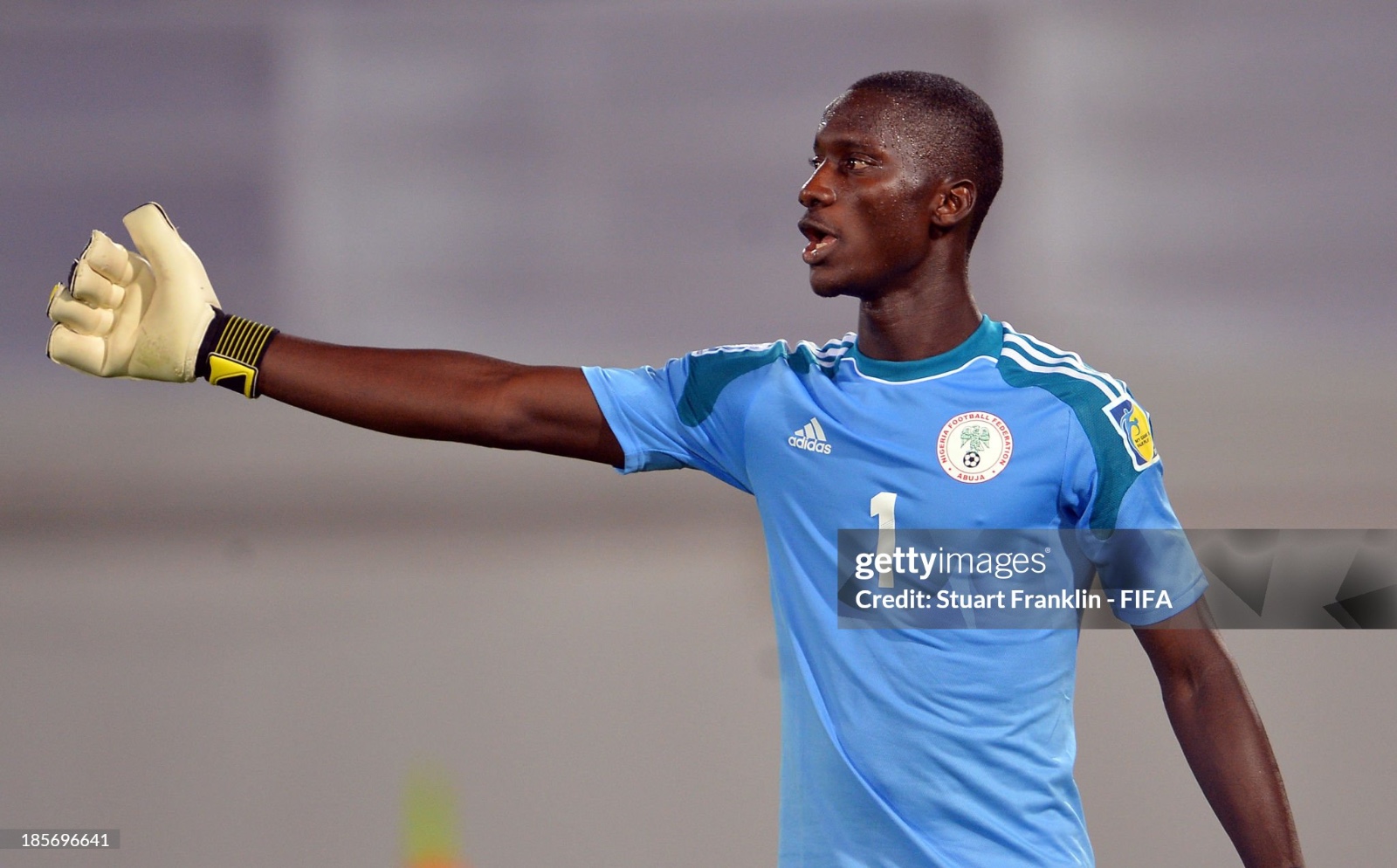 Equipación de portero de Nigeria 2012
