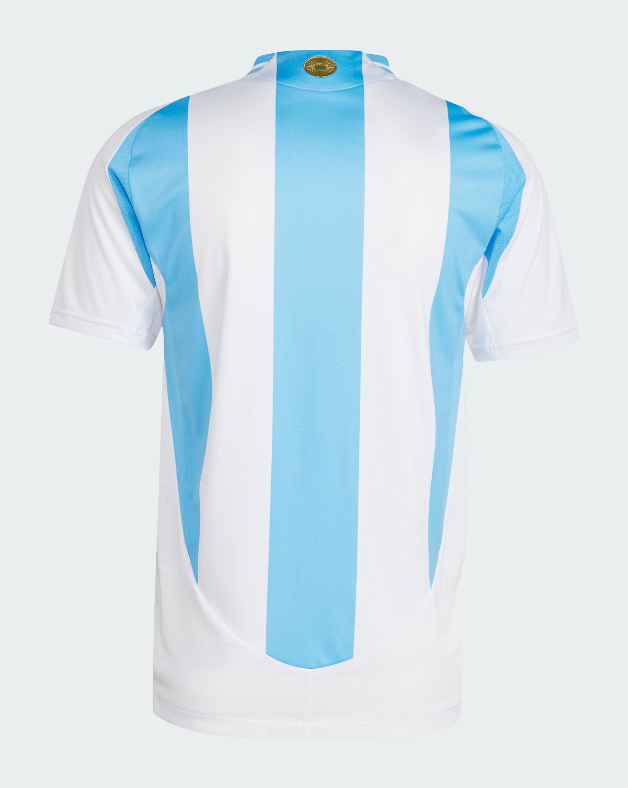 Argentina 2024 Local 4
