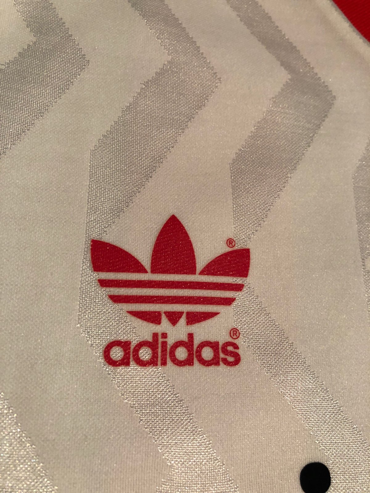 Hamburger SV 92-93 Especial 2