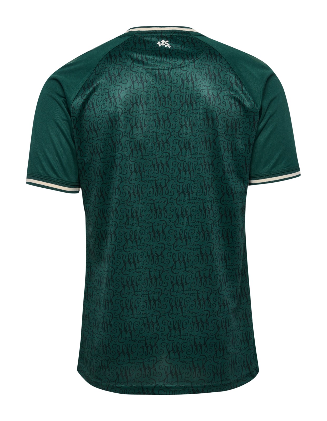 Werder Bremen 23-24 Especial 4