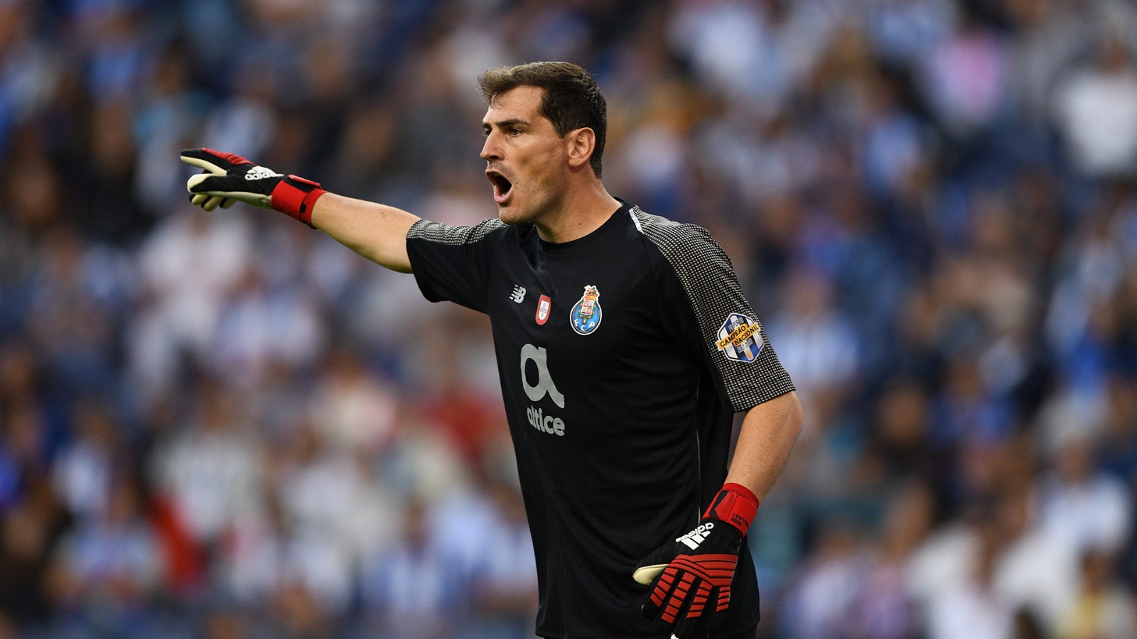 FC Porto 18-19 Portero 2
