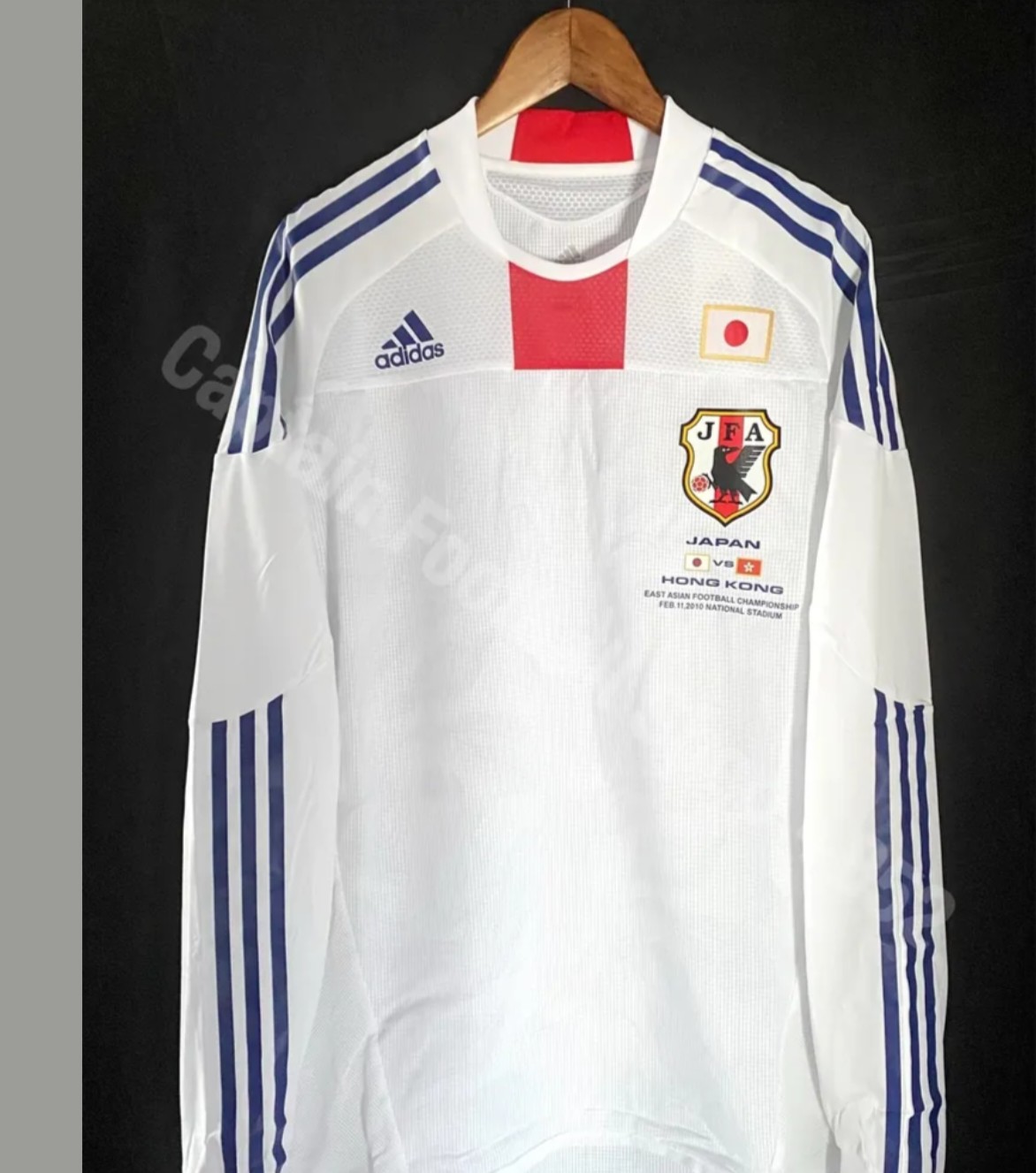 Equipación especial de Japón 2010