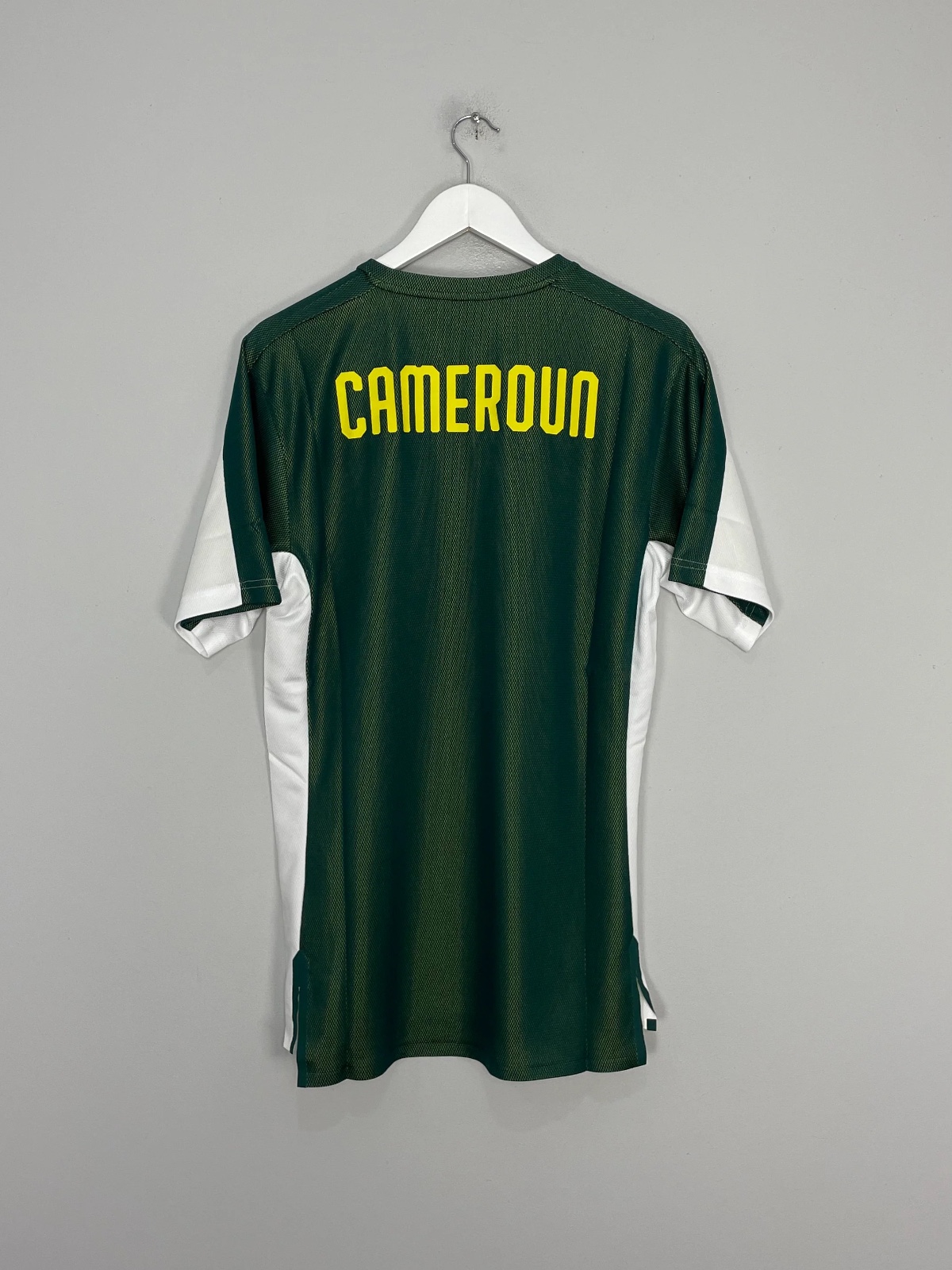 Camerún 2018 Entrenamiento 2