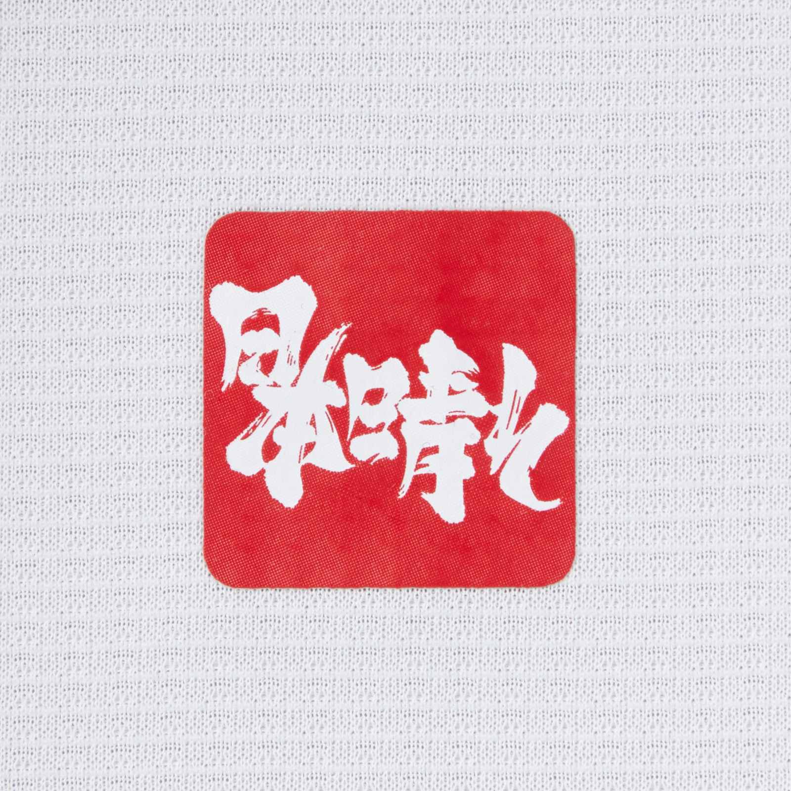 Japón 20-21 Visitante 4