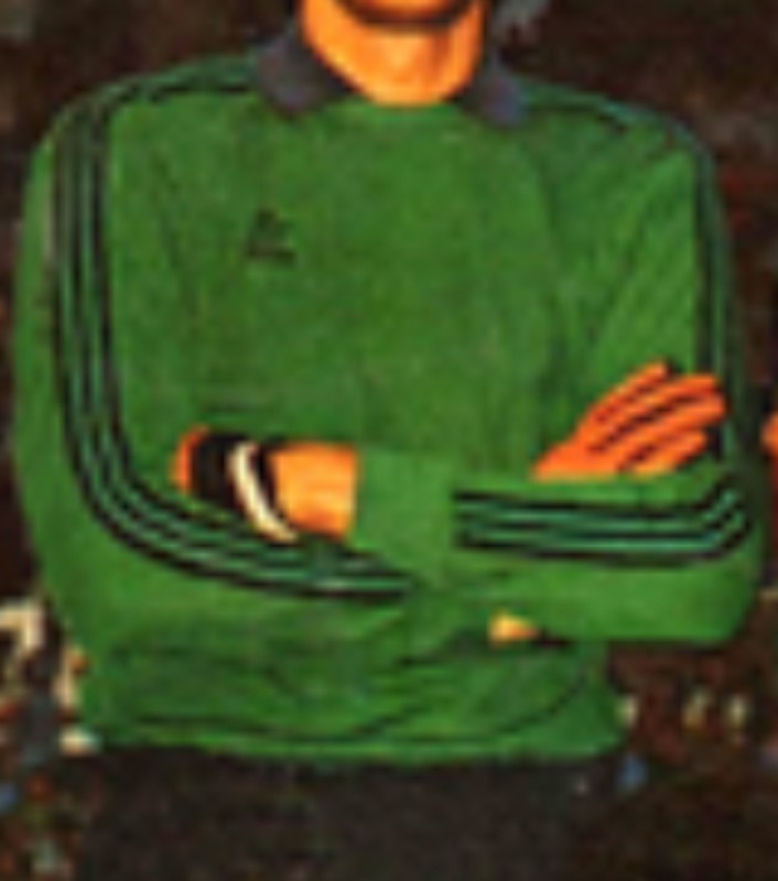 Equipación de portero de Fenerbahçe 74-75