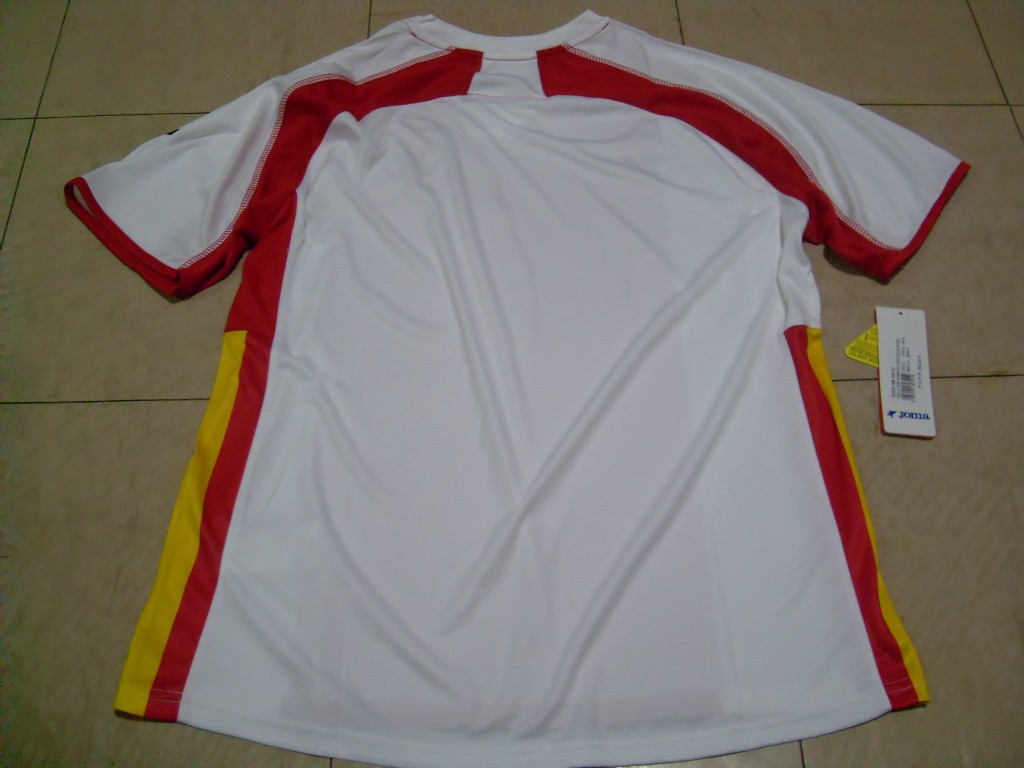 Sevilla FC 10-11 Especial 2